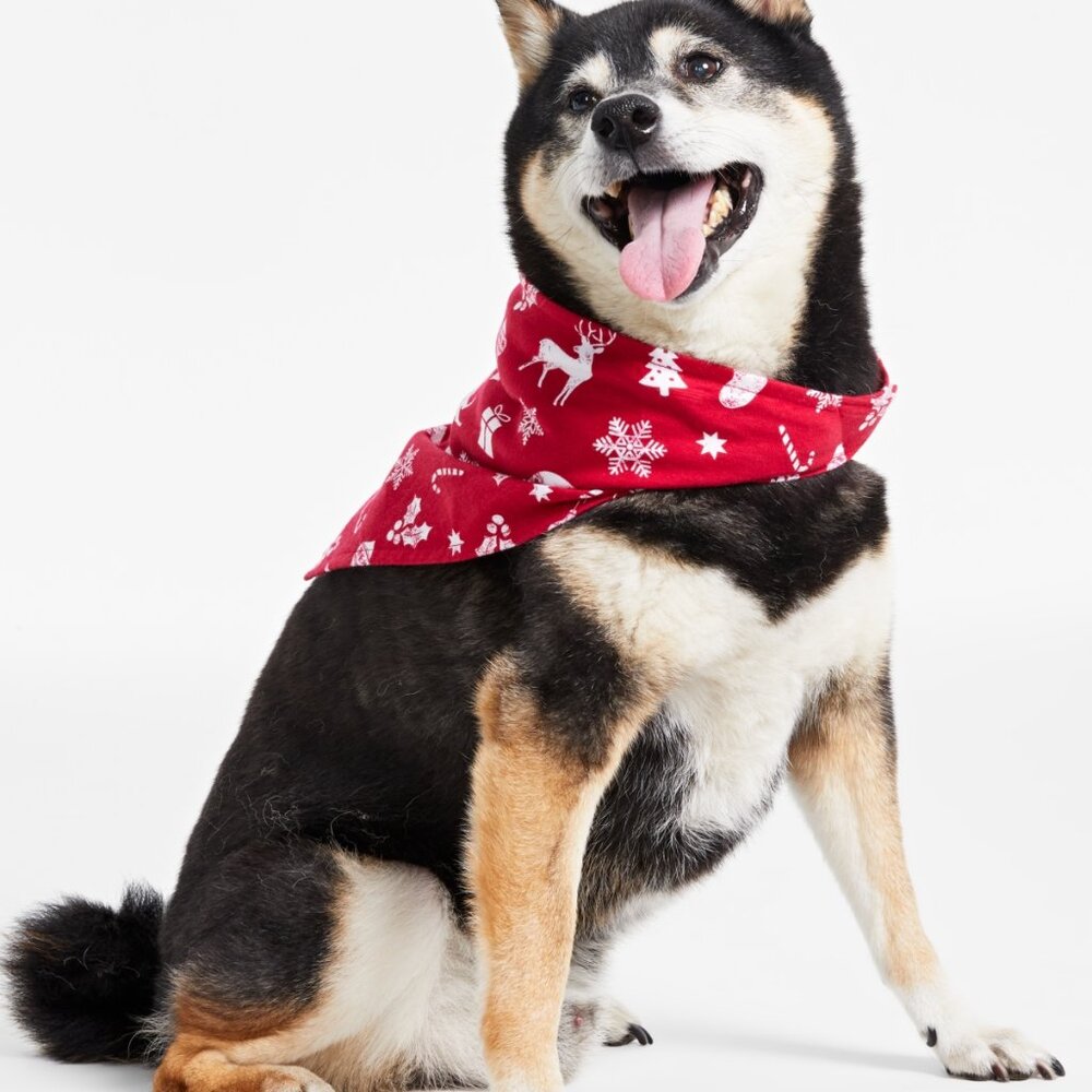 NWT Family Pajamas Matching Merry Cotton Printed Pet Bandana Red S/M